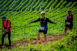 BIB: 276
                            <button type="button" onclick="openModal(19162197)" class="btn btn-primary btn-sm float-right btn-popup" data-toggle="modal" data-target=".modal-high-quality">
                        <i class="fas fa-shopping-cart"></i> Add to Cart
                    </button>
                                            <button type="button" onclick="isThisMe(19162197, true)" class="btn btn-success btn-sm float-right btn-popup btn-isme hidden" data-toggle="tooltip" data-placement="bottom" title="นี่คือรูปของคุณใช่ไหม คลิกที่นี่เพื่อเอาเข้าอัลบั้ม">
                        <i class="fas fa-plus"></i> Add to album
                    </button>
                    <button type="button" onclick="isThisMe(19162197, false)" class="btn btn-warning btn-sm float-right btn-popup btn-isnotme hidden">
                        <i class="fas fa-ban"></i> Remove from album
                    </button>